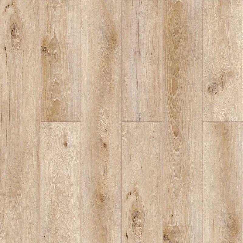  Дуб Фрейзер