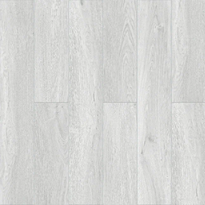 Дуб Серебристый 