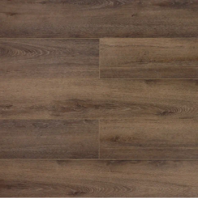  Дуб Обыкновенный