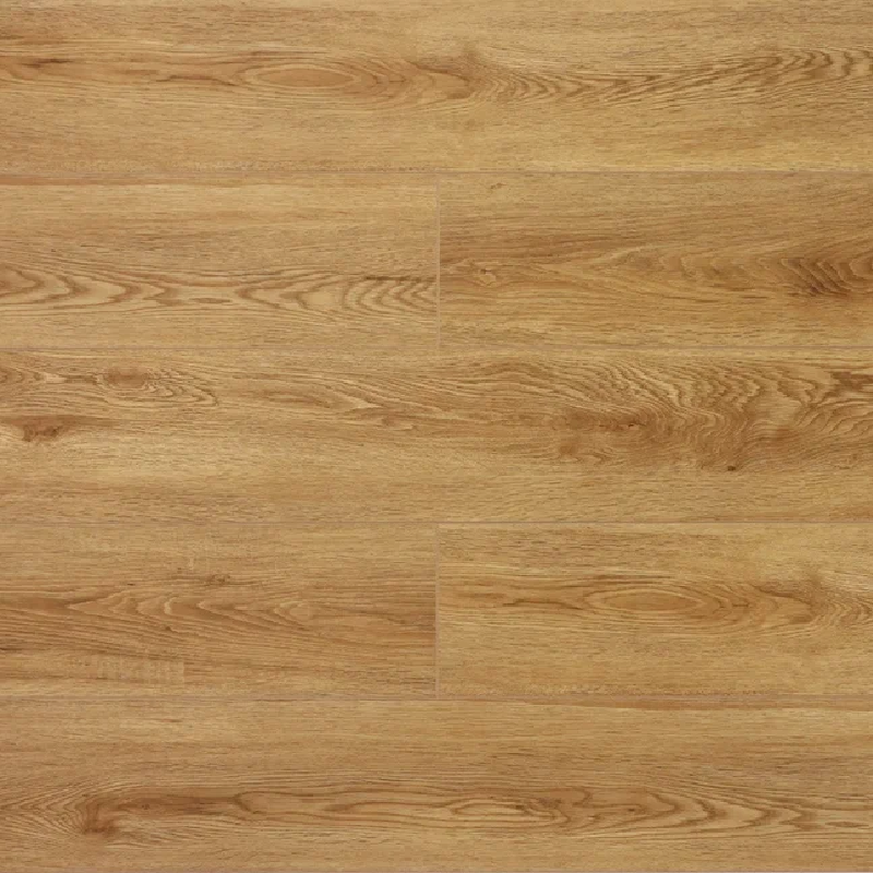  Дуб Скальный