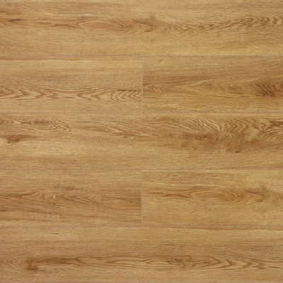  Дуб Скальный