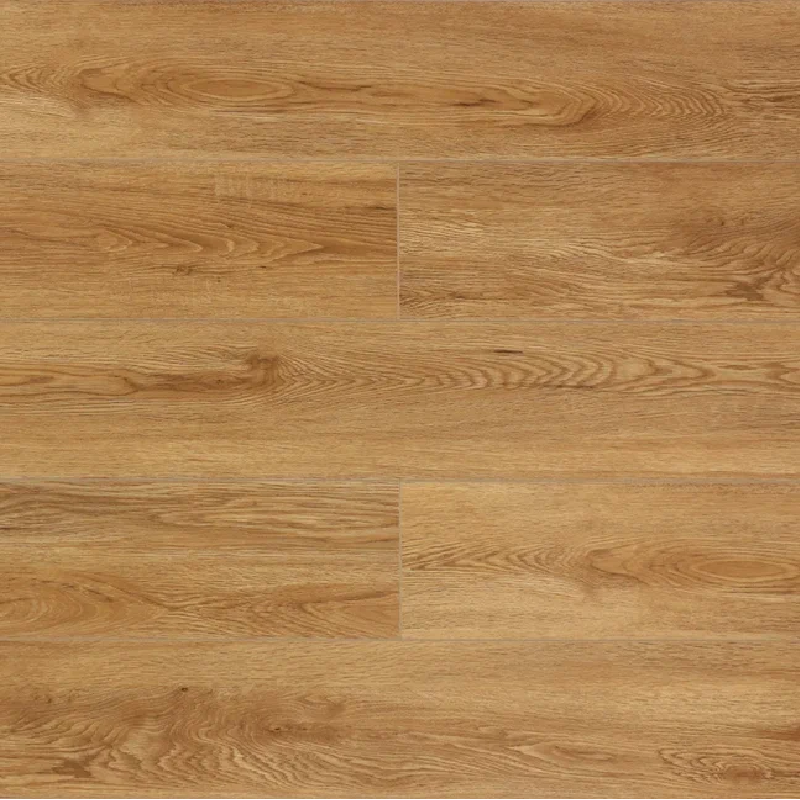 Дуб Медовый