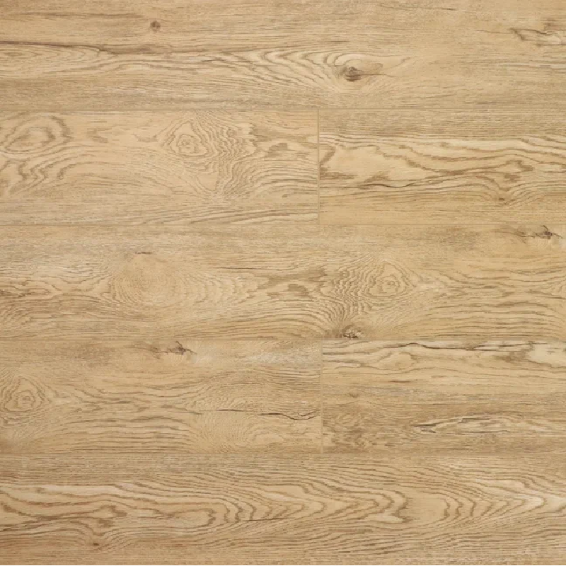  Дуб Золотистый