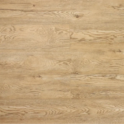  Дуб Золотистый