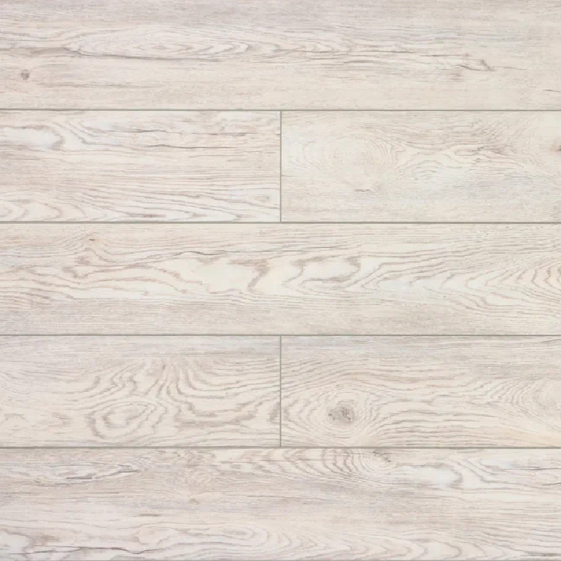 Дуб Каменный