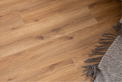 Дуб Сан-Ремо 