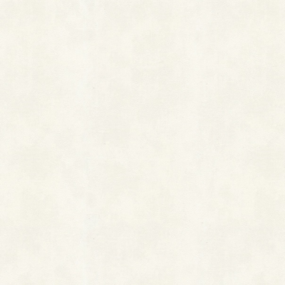 A3208-5 уни штукатурка белая