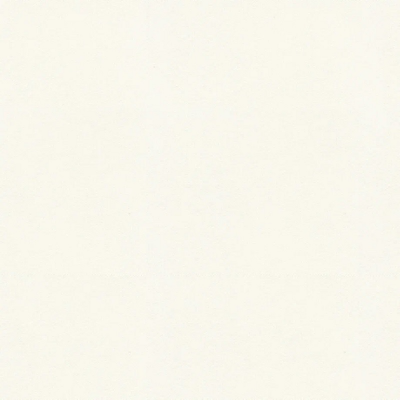 3504-2 уни рогожка теплая белая