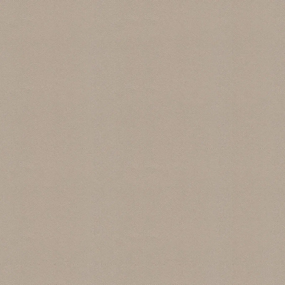 3504-5 уни рогожка светло-коричневая