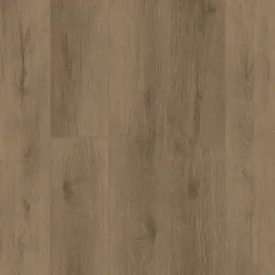 Дуб Рейсдал