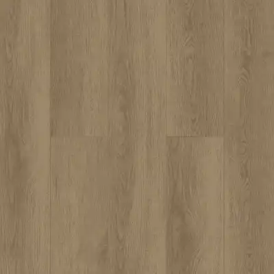 Дуб Фридрих