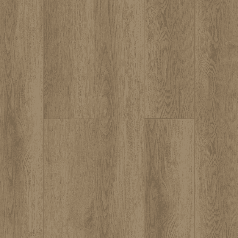 Дуб Фридрих 