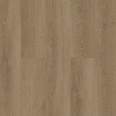 Дуб Фридрих 