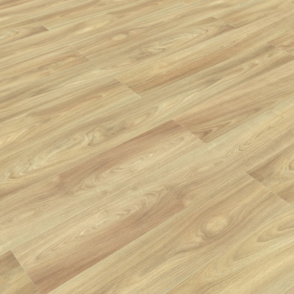 Дуб Вестмалле