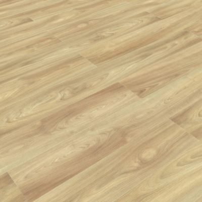 Дуб Вестмалле