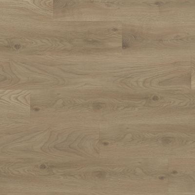 Дуб Хейбридж