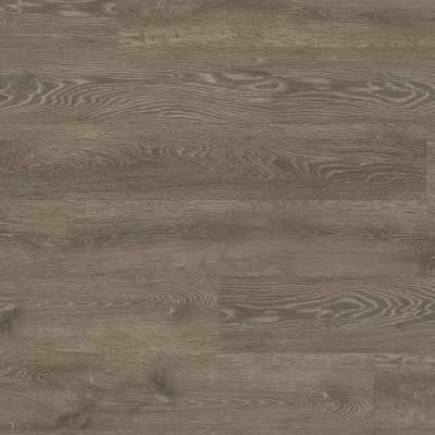 Дуб Клэйборн