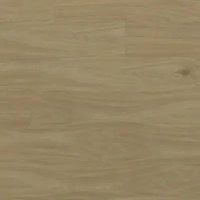 Дуб Дартаньян