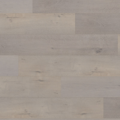 Дуб Фаирлэнд