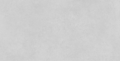 Concrete Expose Light Grey 60x120 см