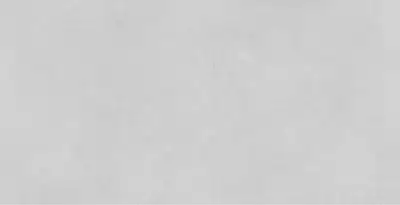 Concrete Expose Light Grey 60x120 см
