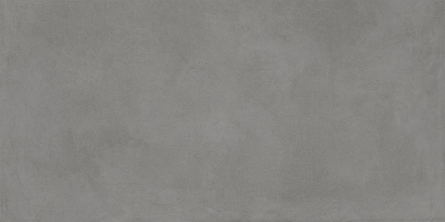 Misty Graphite 60х120 см