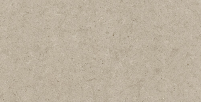 Cenia Grey 60х120 см