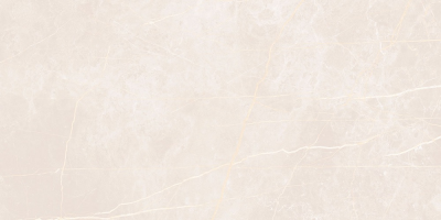 Vision Light Beige 60x120 см