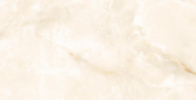 Delphus Polished 60x120 см