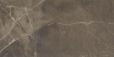Amani Marble Brown 60x120 см 