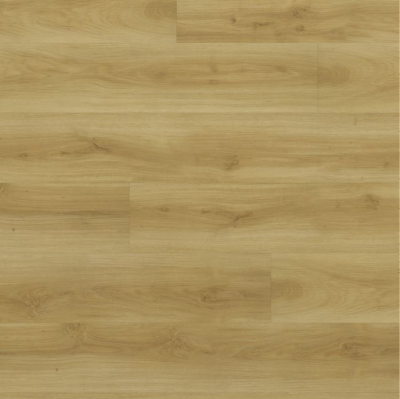 FF-1521 Дуб Базель