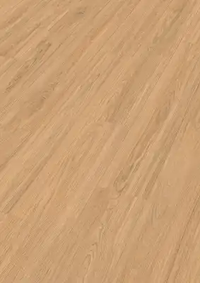 Дуб Сэнд принсес (Sand princess oak)