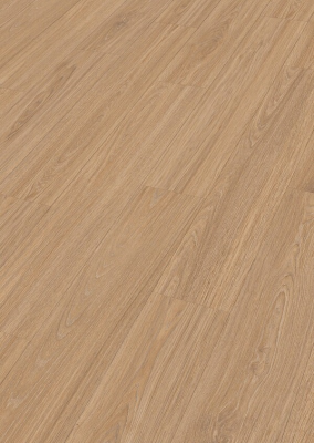 Дуб Крим принсес (Cream princess oak)