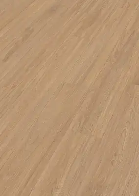 Дуб Крим принсес (Cream princess oak)