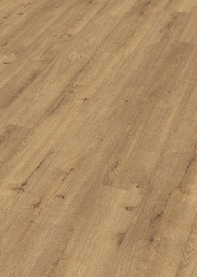 Дуб Шампань (Champagne oak)