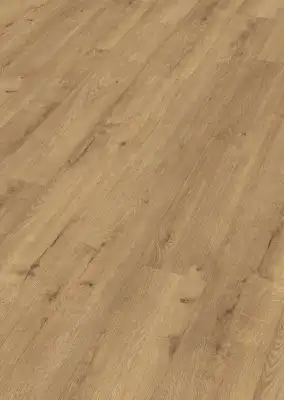 Дуб Шампань (Champagne oak)