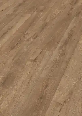 Дуб Амбер (Amber oak)