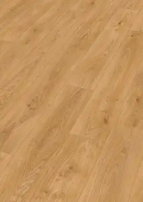 Дуб Хани Ривербенк (Honey riverbank oak)