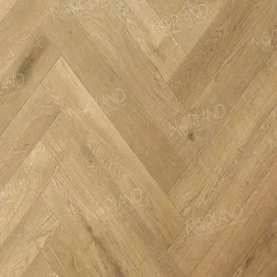Дуб Хайнан 