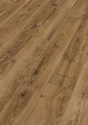 Дуб Натмег касл (Nutmeg castle oak)