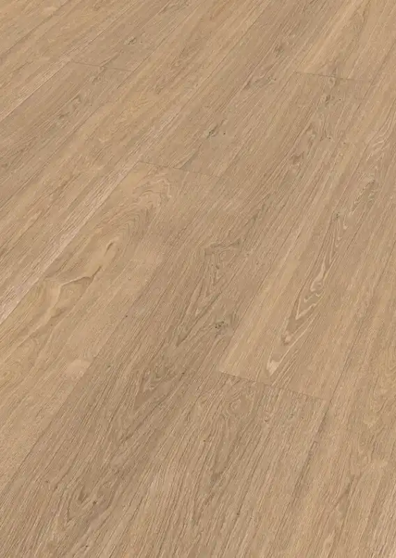 Дуб Тоффи (Toffee oak)