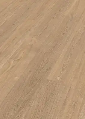 Дуб Тоффи (Toffee oak)