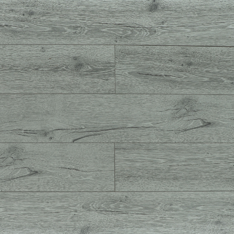 Вяз Фишер 03