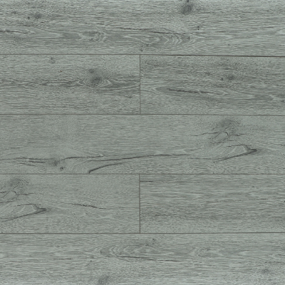 Вяз Фишер 03