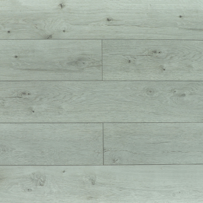 Дуб Гудвин 04