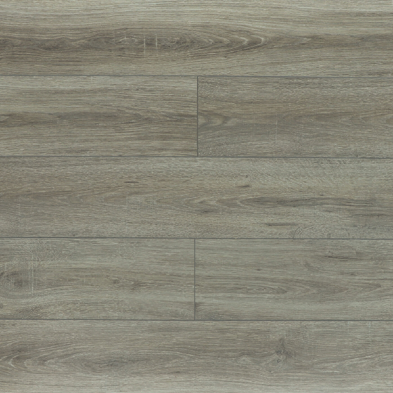 Дуб Пирсон 05