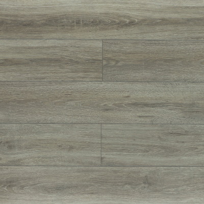 Дуб Пирсон 05