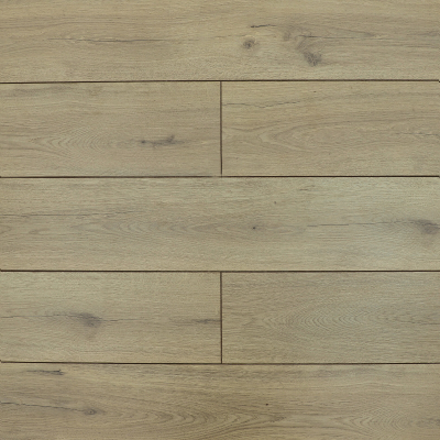 Дуб Джагер 06