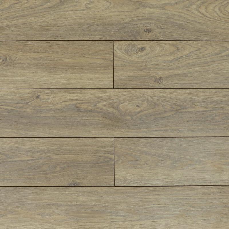 Дуб Батори 07