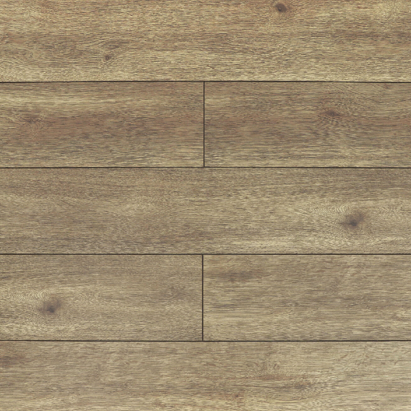 Дуб Кромер 08